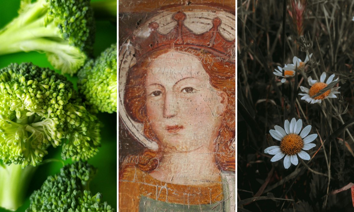 15 "banalnych" pytań. 80 proc. osób nie odpowie na wszystkie