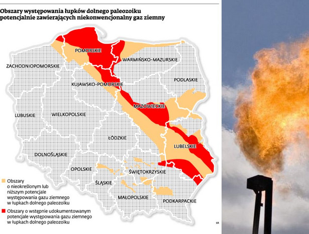 Obszary występowania łupków dolnego paleozoiku potencjalnie zawierające niekonwencjonalny gaz ziemny