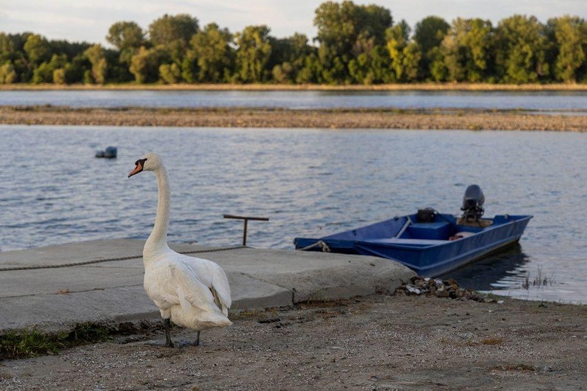 BBC | Foto: REUTERS/Djordje Kojadinovic