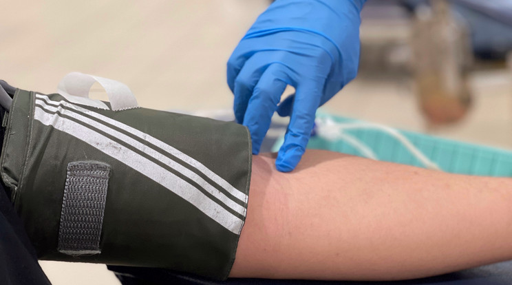 A mesterséges vért adományozott őssejtekből tenyésztik, ám az eljárás még rendkívül költséges / Fotó: Getty Images