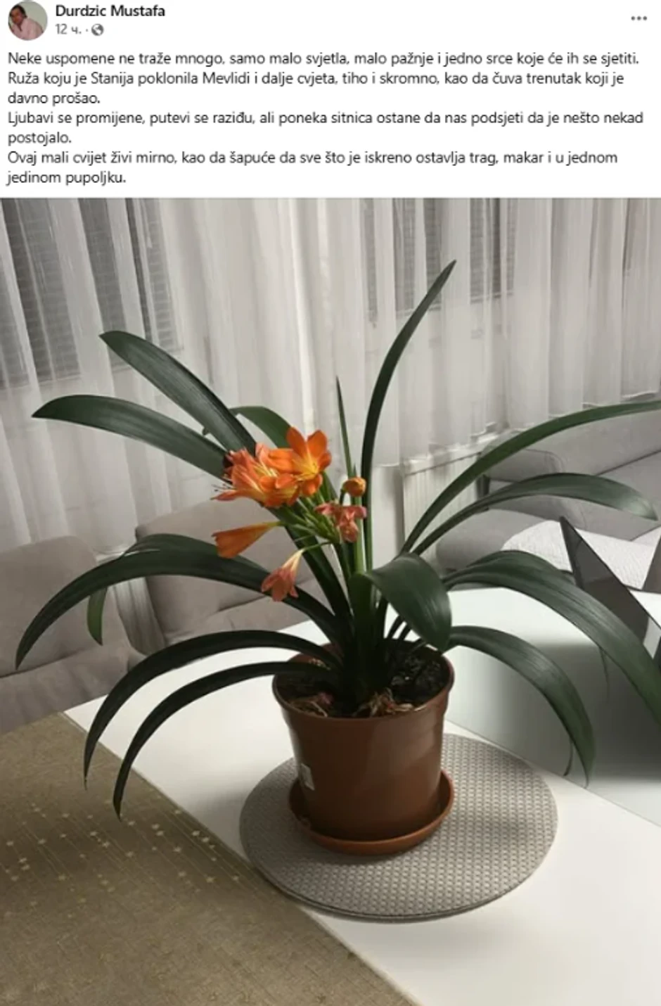 Mustafa Durdžić, objava