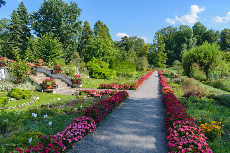 Ogród Botaniczny Uniwersytetu Jagiellońskiego