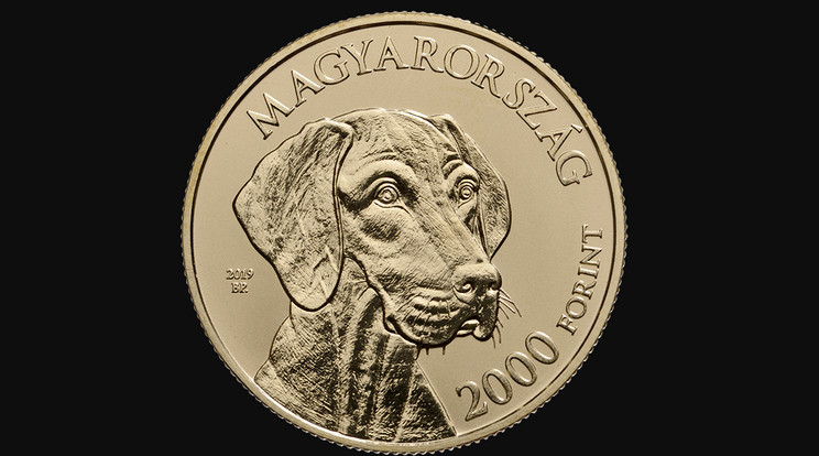 Magyar vizsla-emlékérmét bocsát ki a jegybank /Fotó: mnb.hu