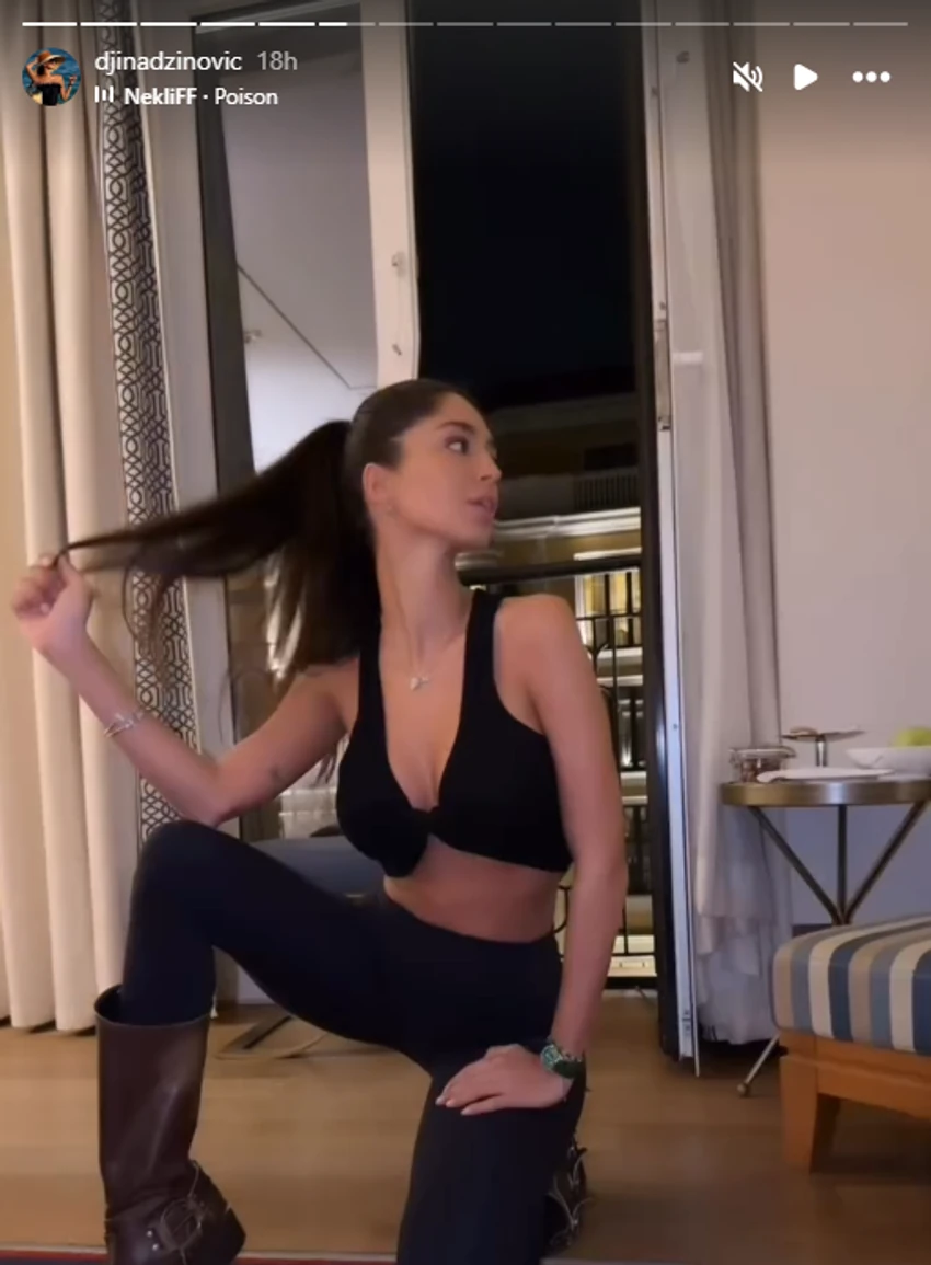 Đina Džinović, objava