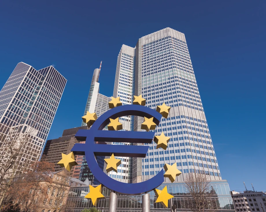 Europejski Bank Centralny coraz częściej uzależnia wsparcie od strategii równowagi w biznesie