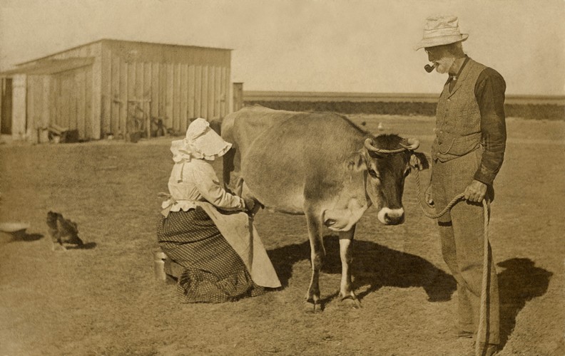 Przewidywania dotyczące tego, czym mielibyśmy się żywić, dziś wydają się nieco makabryczne. Oto bowiem w opinii Fredericka Edwina Smitha 'odkrycie syntetycznego (wytwarzanego na drodze chemicznej) pokarmu, zmieni w zupełności obecną formę walki o byt; cały cywilizowany świat stanie się jednolitym obszarem gospodarczym. Wielka Brytania przemieni się w jedno olbrzymie laboratorjum do produkcji sztucznego pokarmu. (...) Dzięki znaczeniu jakie posiada celluloza dla produkcji syntetycznego pokarmu, tropikalne posiadłości angielskie nabiorą olbrzymiego znaczenia.'