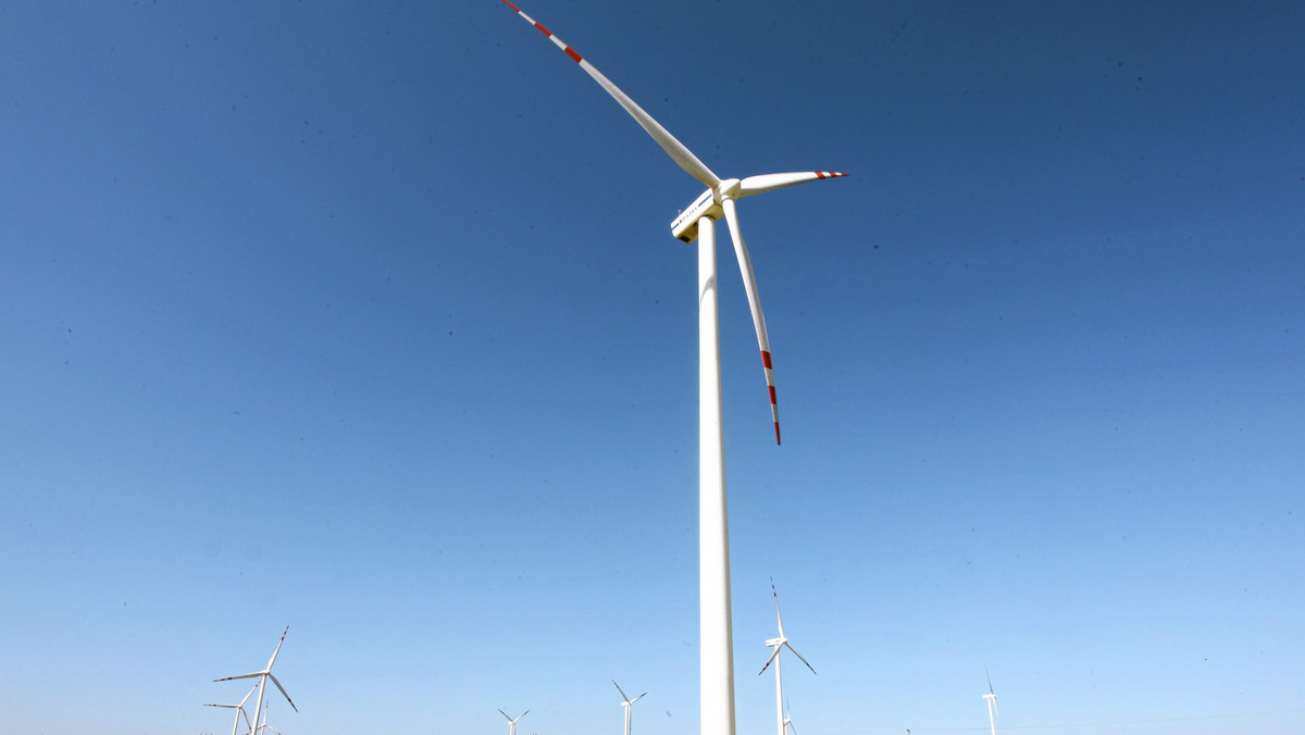 Kujawsko-Pomorskie jest krajowym liderem pod względem liczby farm wiatrowych, lecz urządzenia są zwykle mniejszej mocy niż w innych województwach. Wiatraków przybywa jednak w szybkim tempie, mimo że tutejszy samorząd jako pierwszy wprowadził bariery prawne.