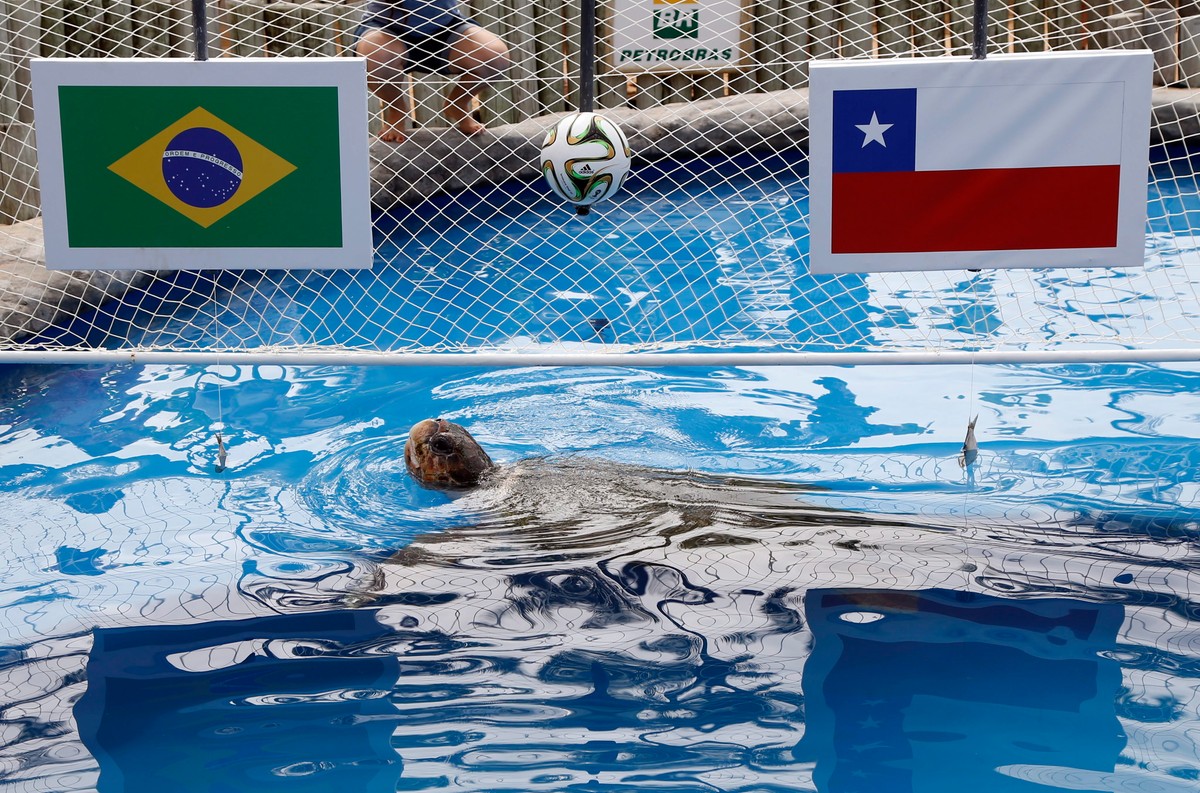 Mundial 2014: Dzień 17. (RELACJA LIVE)