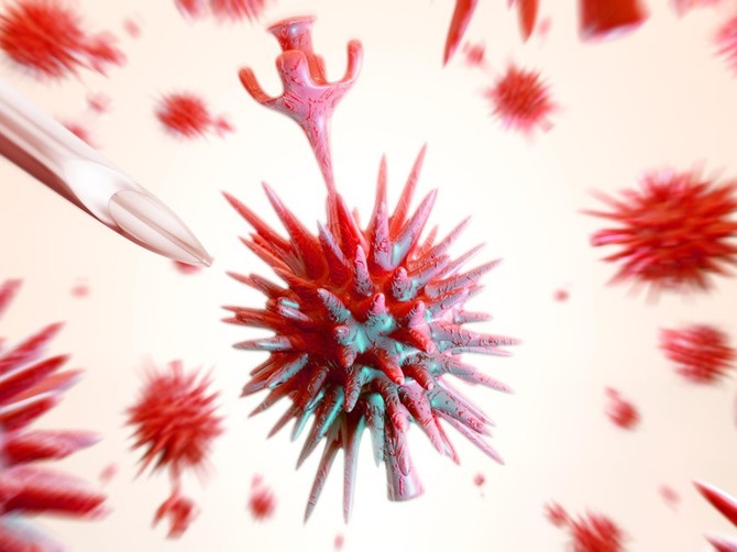 Korona virus