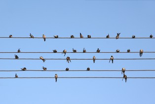 Klienci celowo wprowadzani w błąd? UOKiK wszczął postępowanie przeciwko Nowej Telefonii