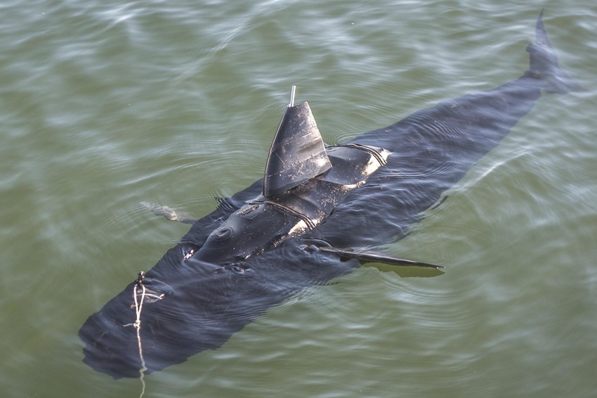 Detalj sa testiranja "GoustSvimera"