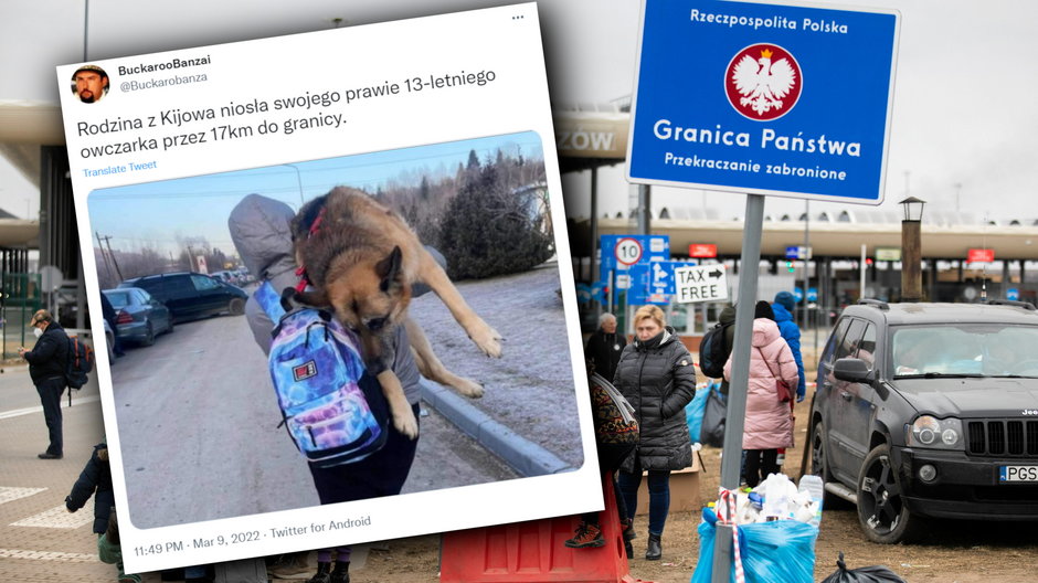 Uchodźca niosący na rękach psa. W tle fotografia polsko-ukrańskiego przejścia granicznego
