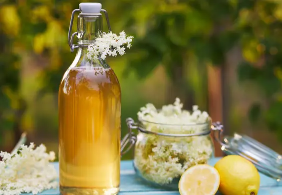 Sok z tej rośliny to naturalny antybiotyk. Działa przeciwzapalnie i poprawia wygląd cery