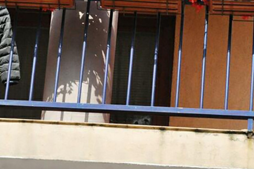 Vidljivi tragovi metaka