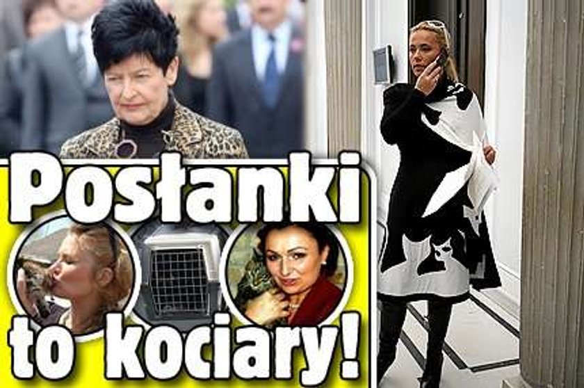 Posłanki to kociary!