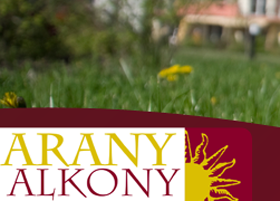 aranyalkony-d00000BBC83be1180306d