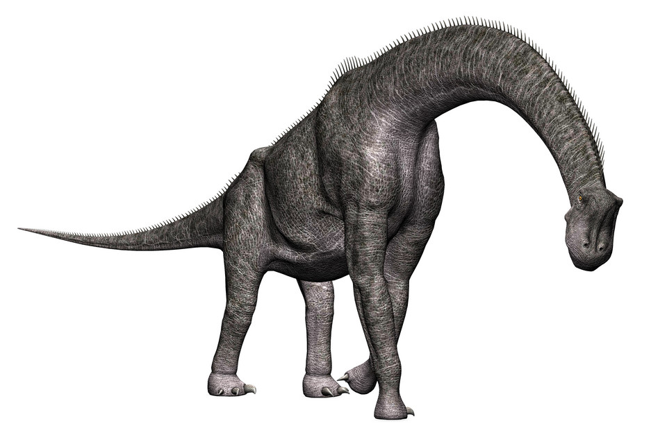 Mokele-mbembe