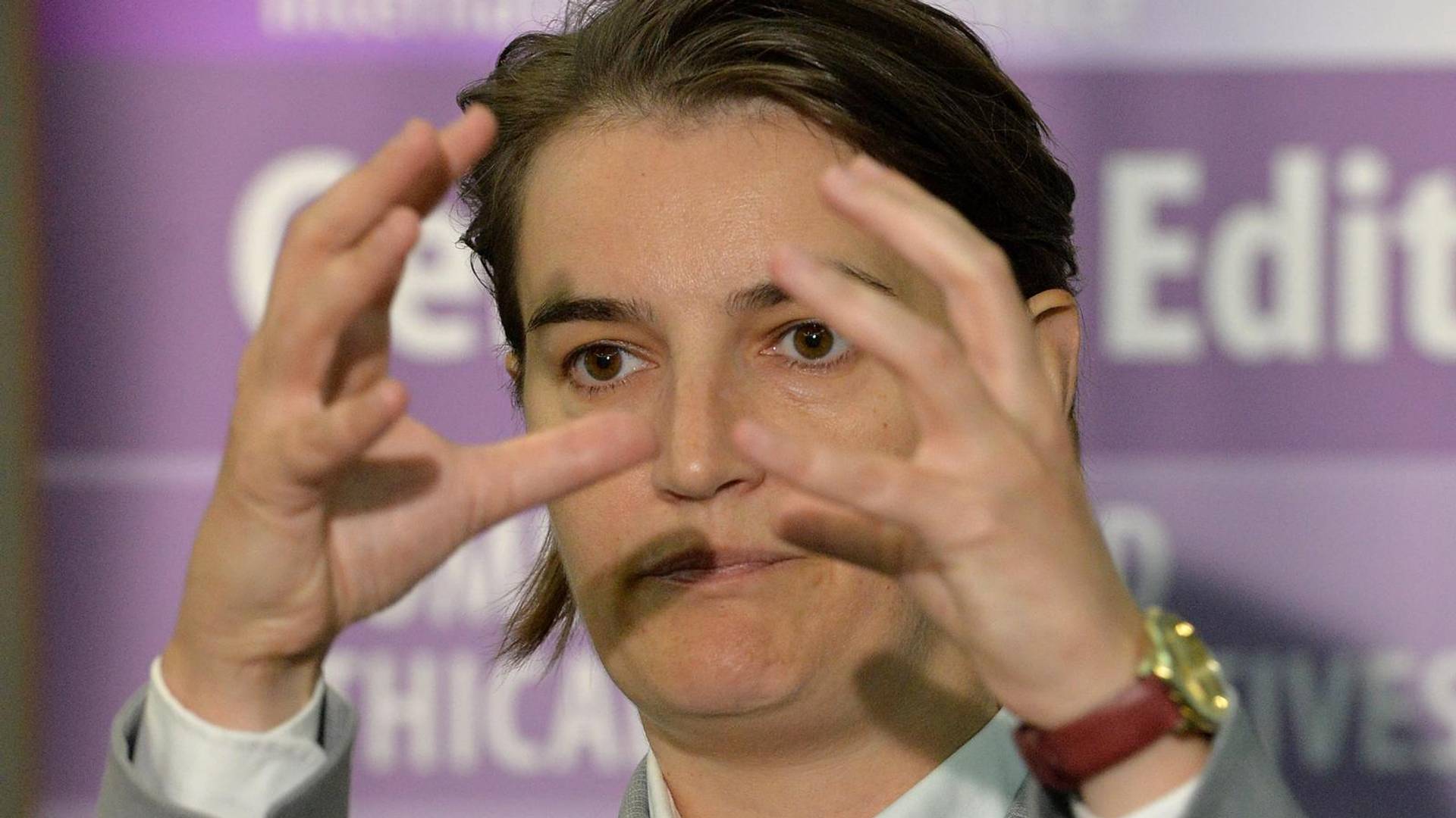 Molimo Anu Brnabić da se sabere