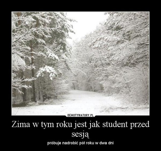 Internet przegania zimę dowcipem