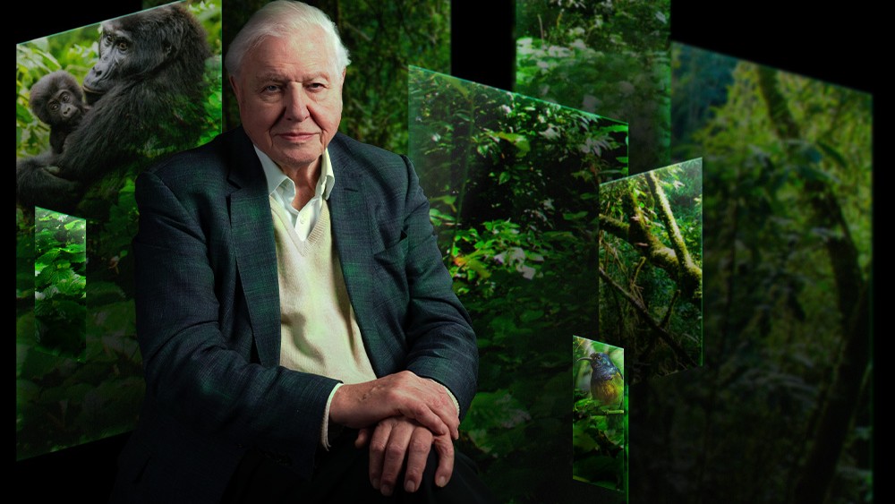 Známy prírodovedec David Attenborough sa dožil 100 rokov, a radí nám ako to dosiahnuť.