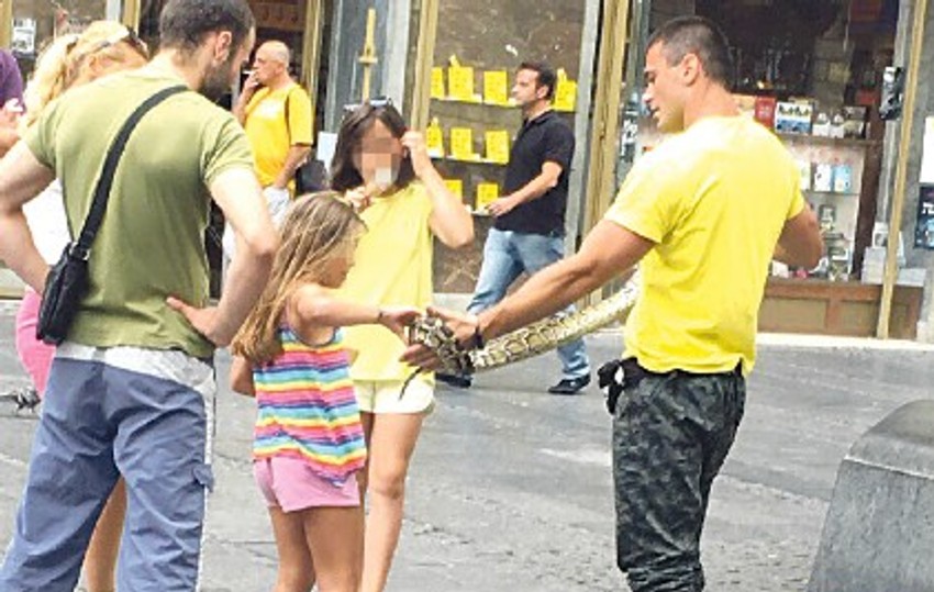 Najinteresantnije za najmlađe