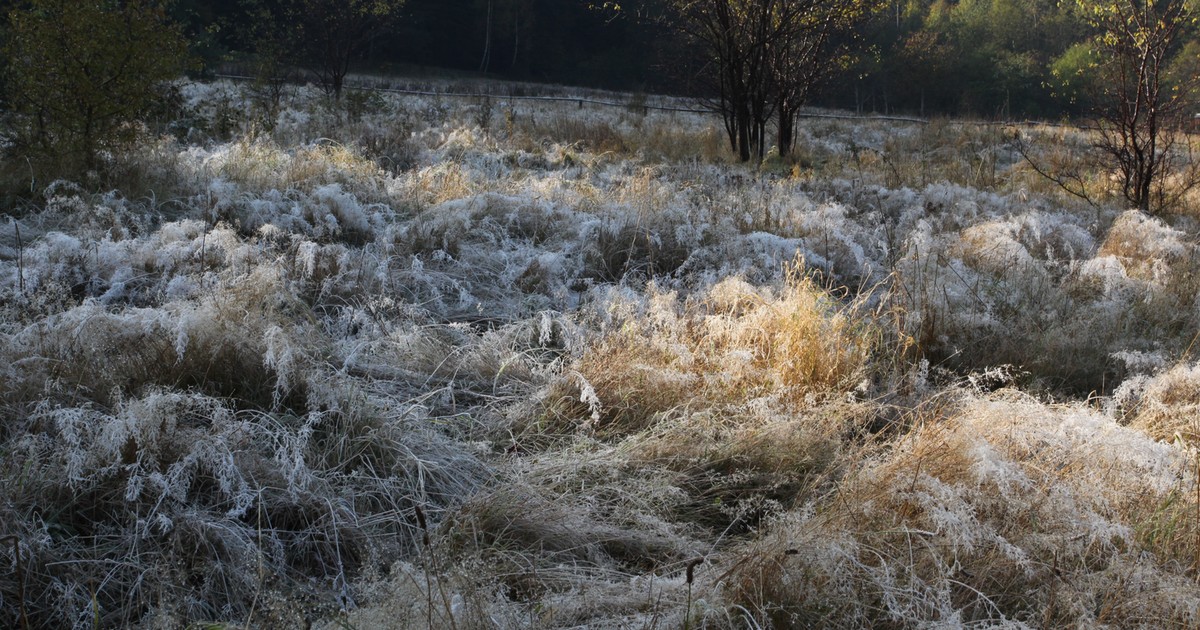 Październik wita nas przymrozkami i przelotnymi opadami deszczu ze śniegiem. A dalej?