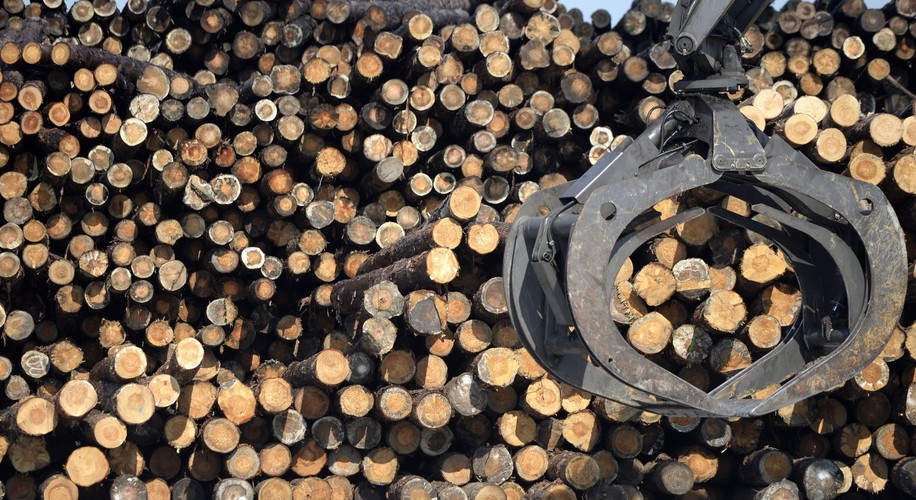 Grupa IKEA Industry powstała w 1991 roku i stanowi produkcyjną część w grupie IKEA obecnej w Polsce od ponad 50 lat.  <br><br>(dd/kru) PAP/Darek Delmanowicz