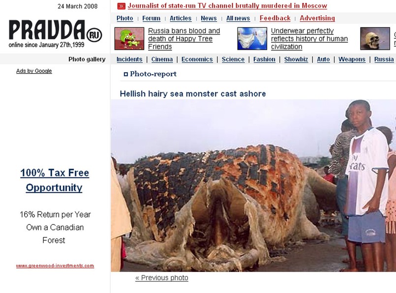 Ocean Atlantycki wyrzucił na plażę w Gwinei ogromnego potwora