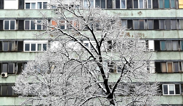 sneg foto Vesna Lalic