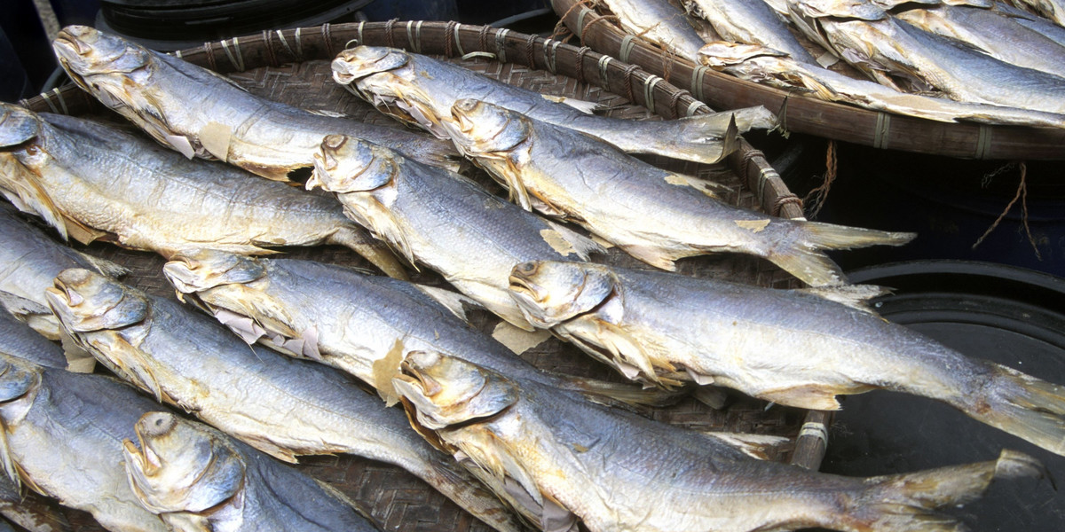 Ryby solone po chińsku mogą powodować raka nosogardła.