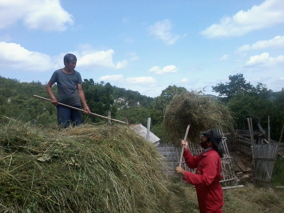 Svaka pomoć je dobrodošla: Kosidba u Banjnima