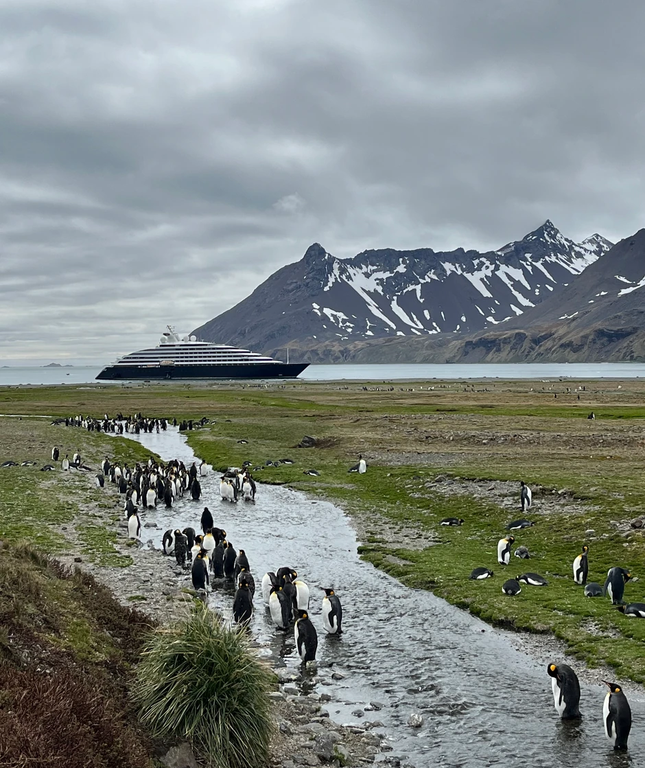 Pingvini na Antarktiku