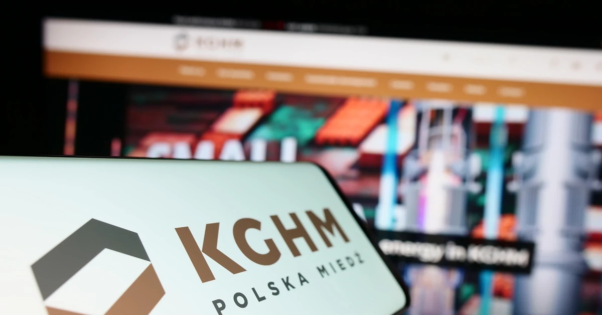 Change in the KGHM board. PSL activist&#39;s daughter in the position of vice-president