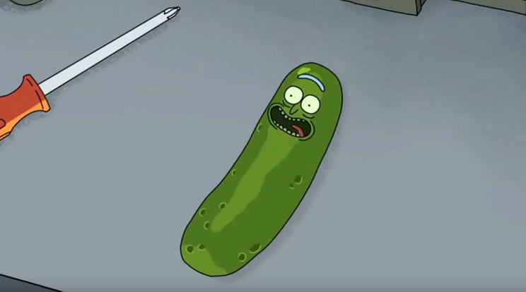 A férfi uborkához való különös vonzódását talán a Rick és Morty című animációs sorozat alapozhatta meg /Fotó: Youtube