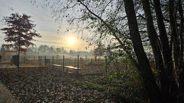 Psi wybieg na Stabłowicach