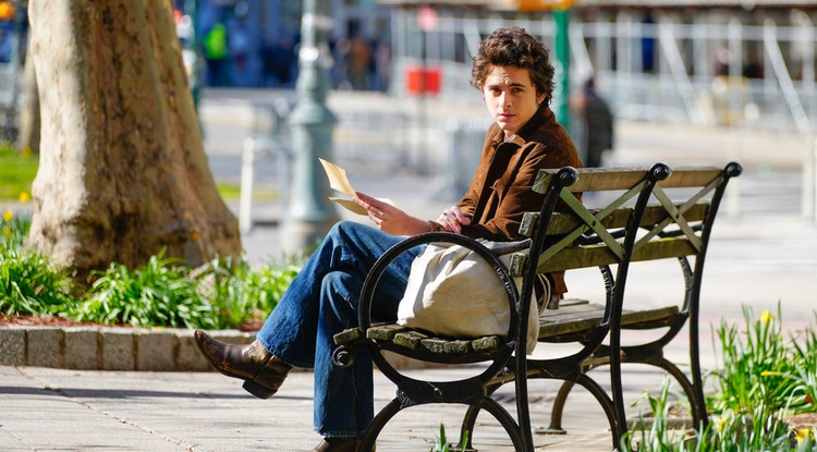 Timothée Chalamet mint Bob Dylan