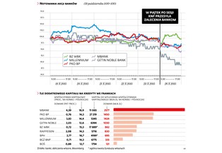 "Domiary kapitałowe" nową receptą na kredyty frankowe. Które banki ucierpią?
