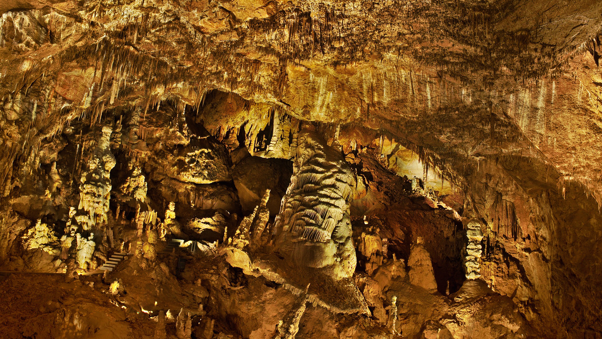 Skarb z epoki brązu w jaskini Baradla na Węgrzech
