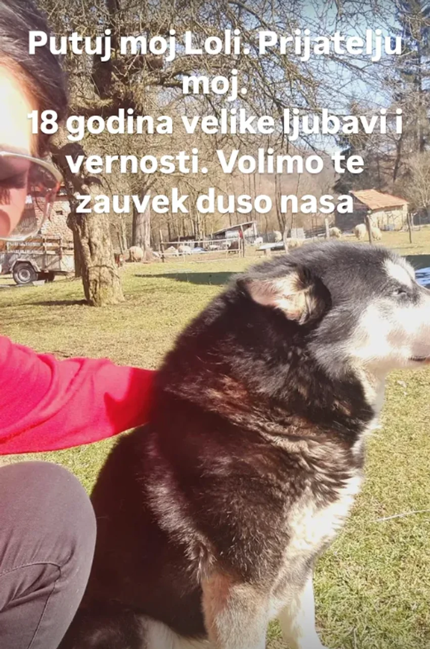 Sanji Maletić, objava