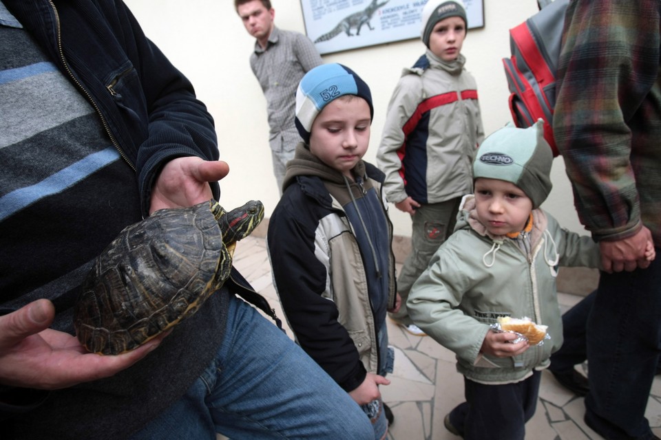 WARSZAWA ŚWIATOWY DZIEŃ ZWIERZĄT ZOO