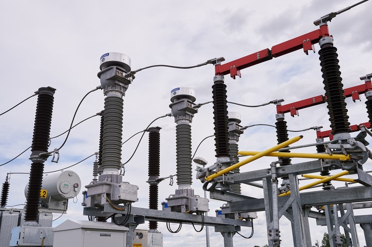 Inwestorem Nowotnej jest hiszpański fundusz inwestycyjny Taiga Mistral, który w województwie pomorskim posiada jeszcze dwie inne farmy wiatrowe: Kobylnica (41,4 MW) oraz Subkowy (8MW). Nowotna jest drugą farmą funduszu współfinansowaną przez BOŚ Bank.