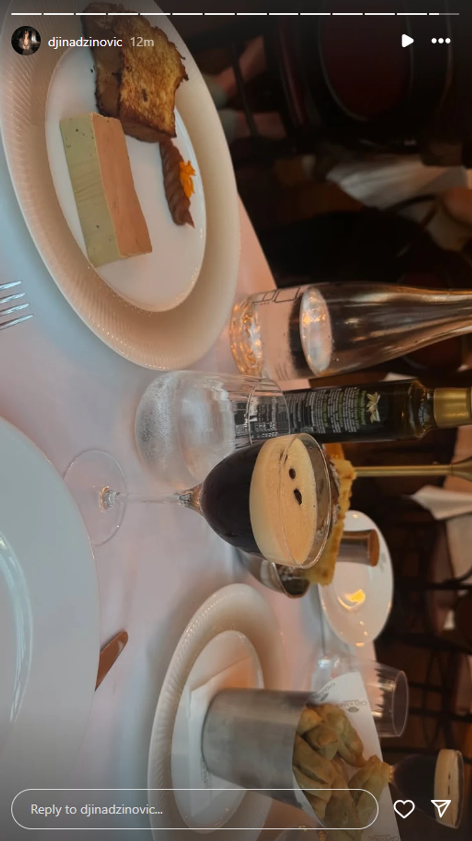 Đina Džinović, objava