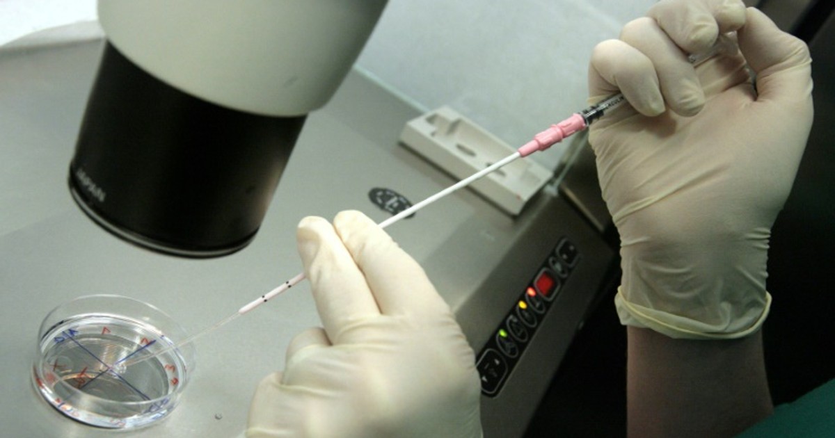 Everything you need to know about IVF before meeting your doctor - Vimarsana News