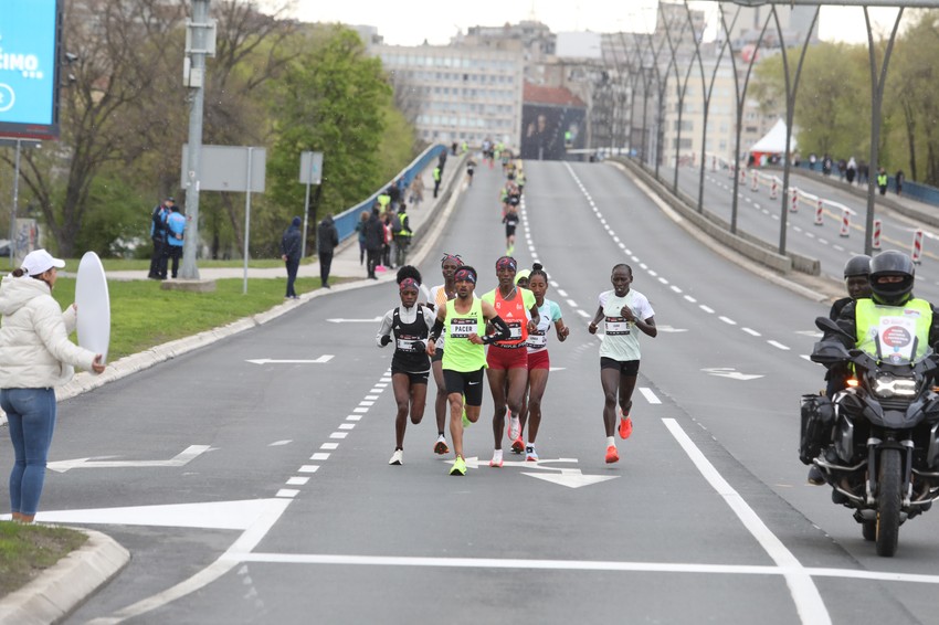 Maraton Beograd