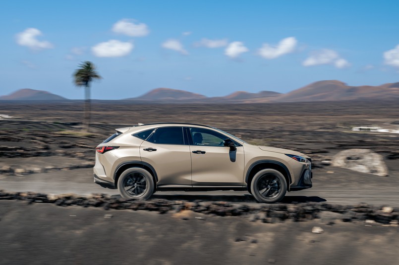 Lexus NX Overtrail