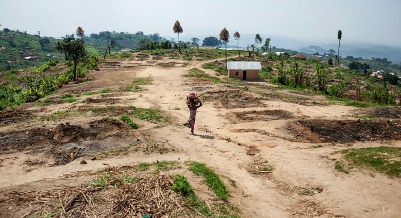 The Rwandan Catholic Church in 2011 asked France to stop Thomas Nahimana from publishing material which it claimed denies the 1994 massacre in which mostly members of the Hutu ethnic group killed some 800,000 people in a 100-day genocidal spree