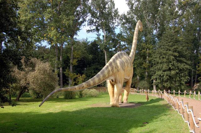 Galeria Polska - Rogowo - Park Dinozaurów, obrazek 19