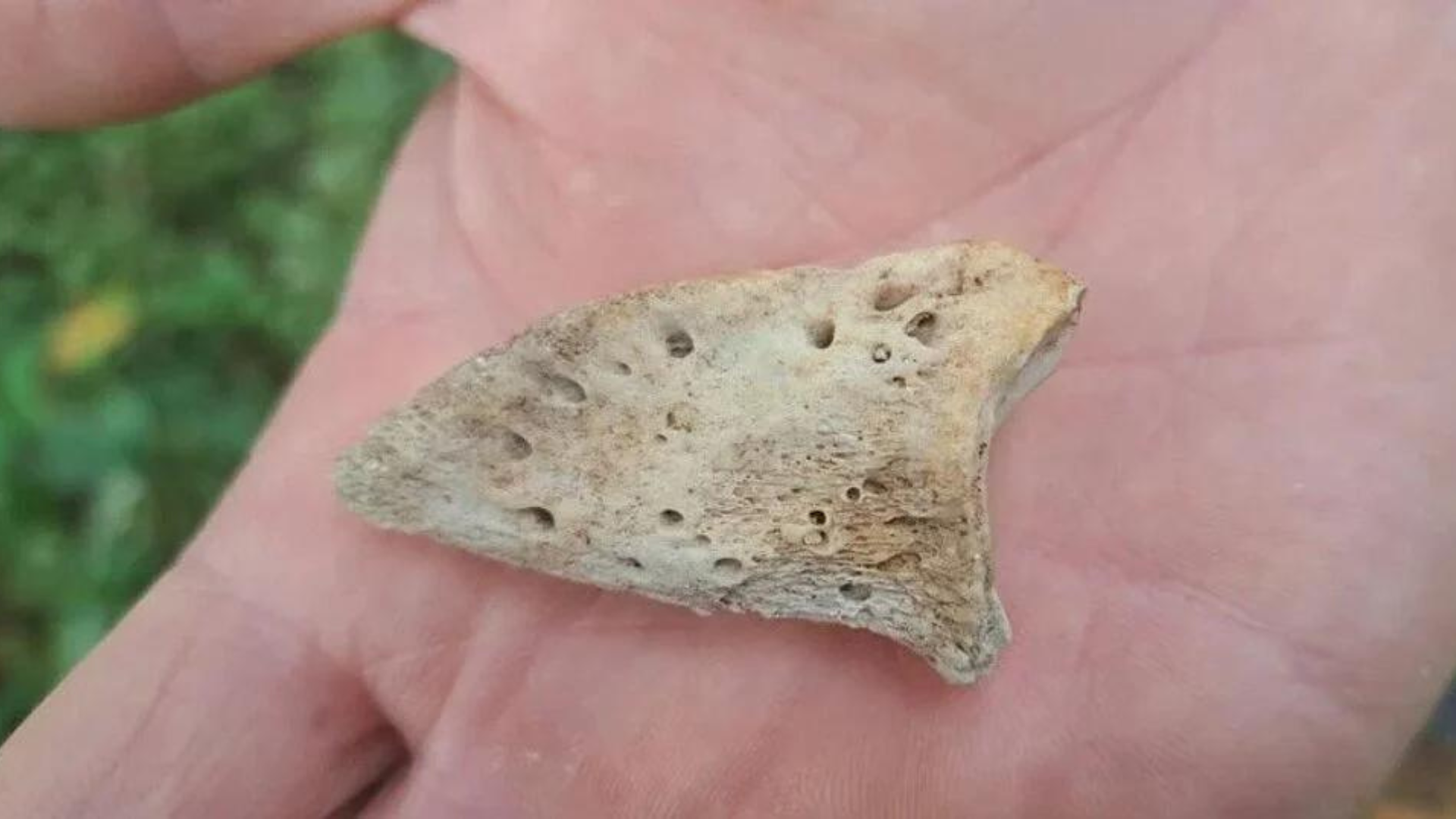 Mineralóg našiel unikátny objav.