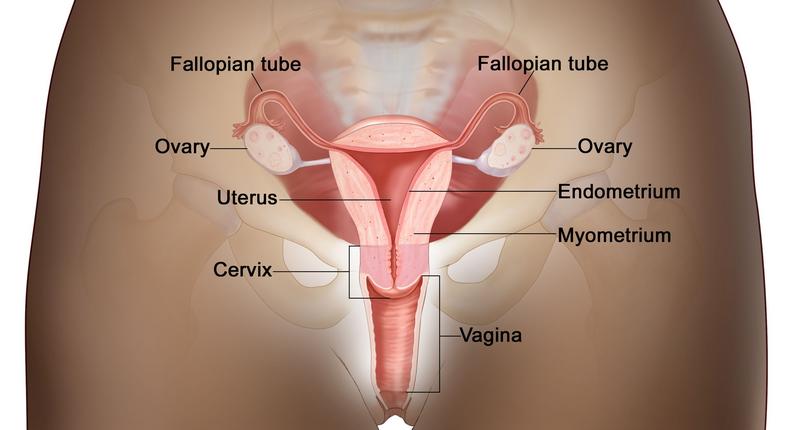 Why no woman should die from Cervical Cancer. [cancer]