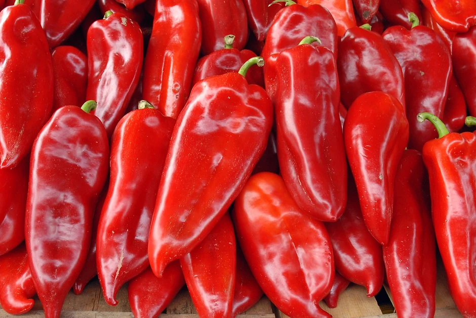 Paprika sve traženija